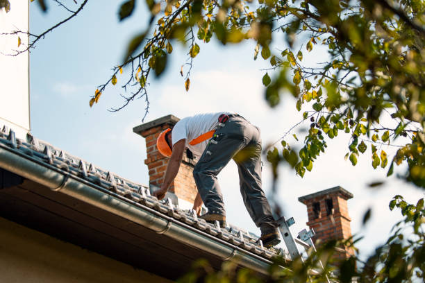Roof Installation Near Me in Fulton, IL