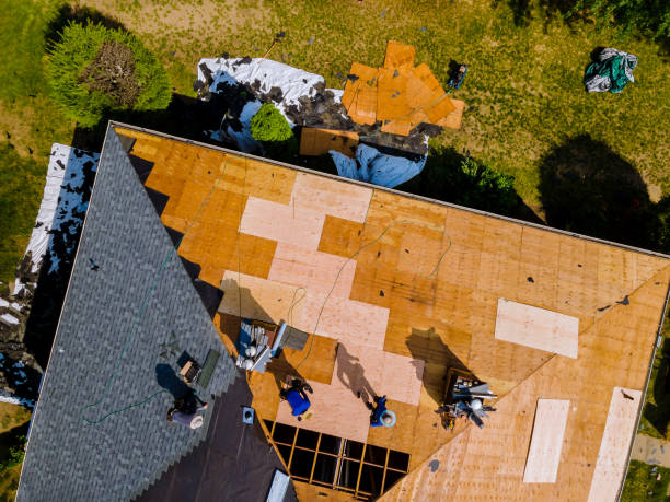 Best Flat Roof Repair Services  in Fulton, IL