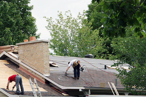 Best Roof Gutter Cleaning  in Fulton, IL