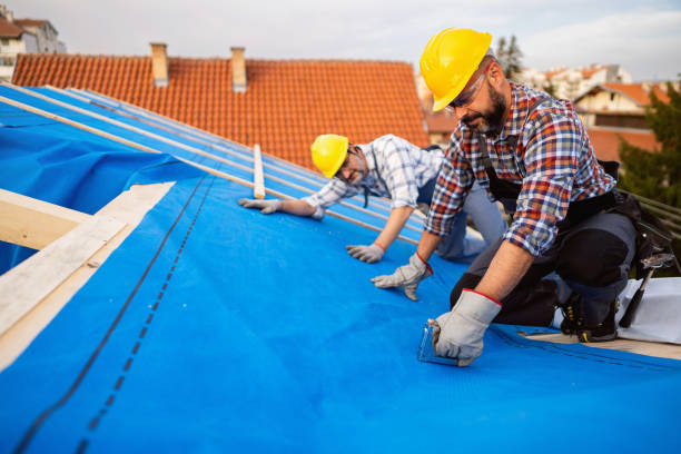 Best Metal Roofing Contractor  in Fulton, IL