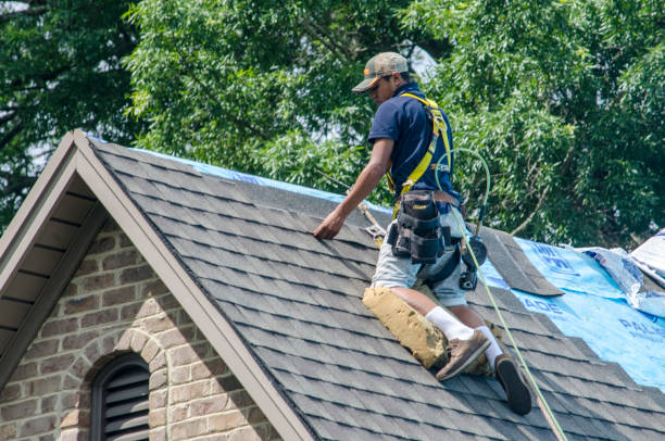 Best Gutter Installation and Roofing  in Fulton, IL